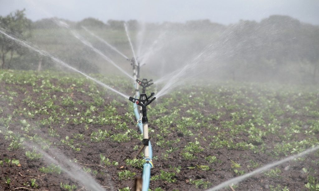 Imagem Ilustrando a Notícia: Produtores rurais deverão fazer irrigação à noite