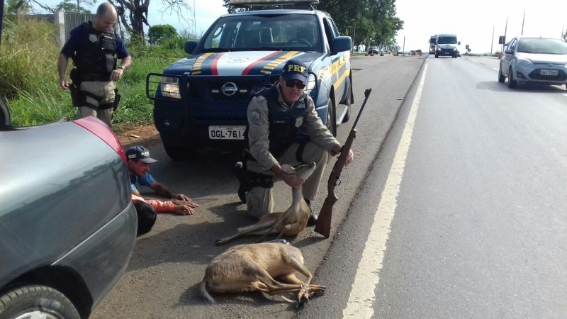 Imagem Ilustrando a Notícia: Três caçadores são presos pela PRF em Abadia de Goiás