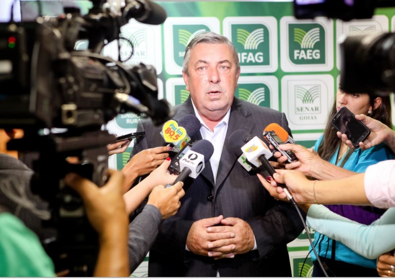 Imagem Ilustrando a Notícia: Para Schreiner, Goiás teve bom desempenho em 2016