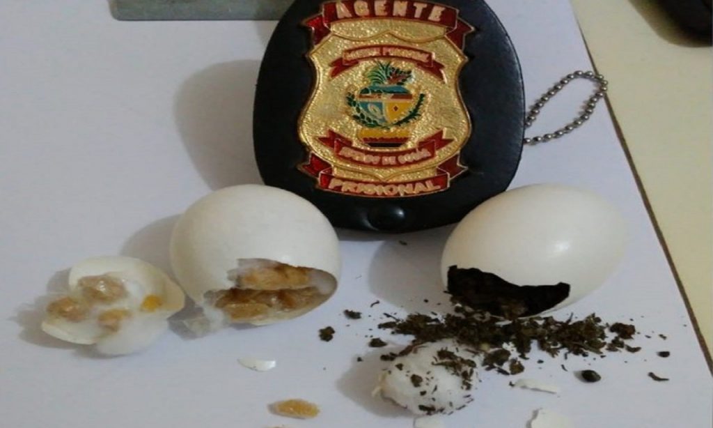 Imagem Ilustrando a Notícia: Mulher é presa ao tentar entrar em presídio com drogas dentro de cascas de ovos, em Porangatu