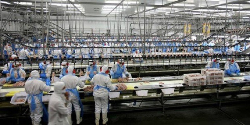 Imagem Ilustrando a Notícia: Indústria goiana cresce acima da média nacional