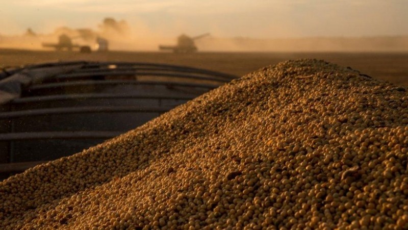 Imagem Ilustrando a Notícia: Safra de grãos deve chegar aos 232 milhões de toneladas