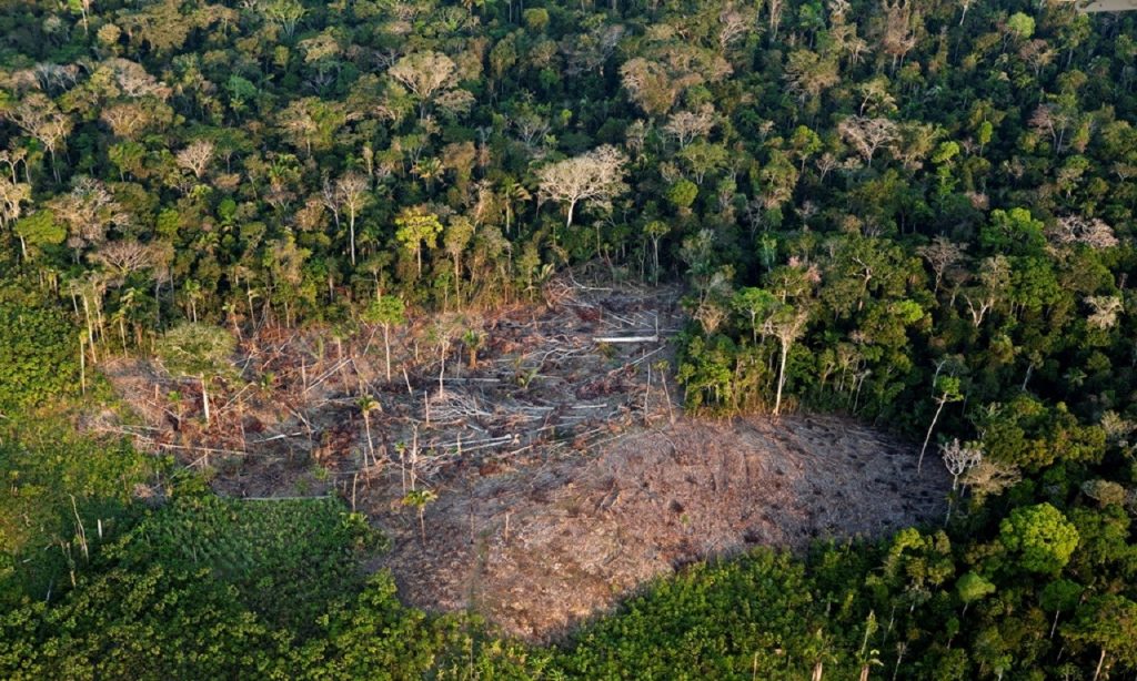 Imagem Ilustrando a Notícia: Força Nacional mantém apoio em ações ambientais na Amazônia até 2021