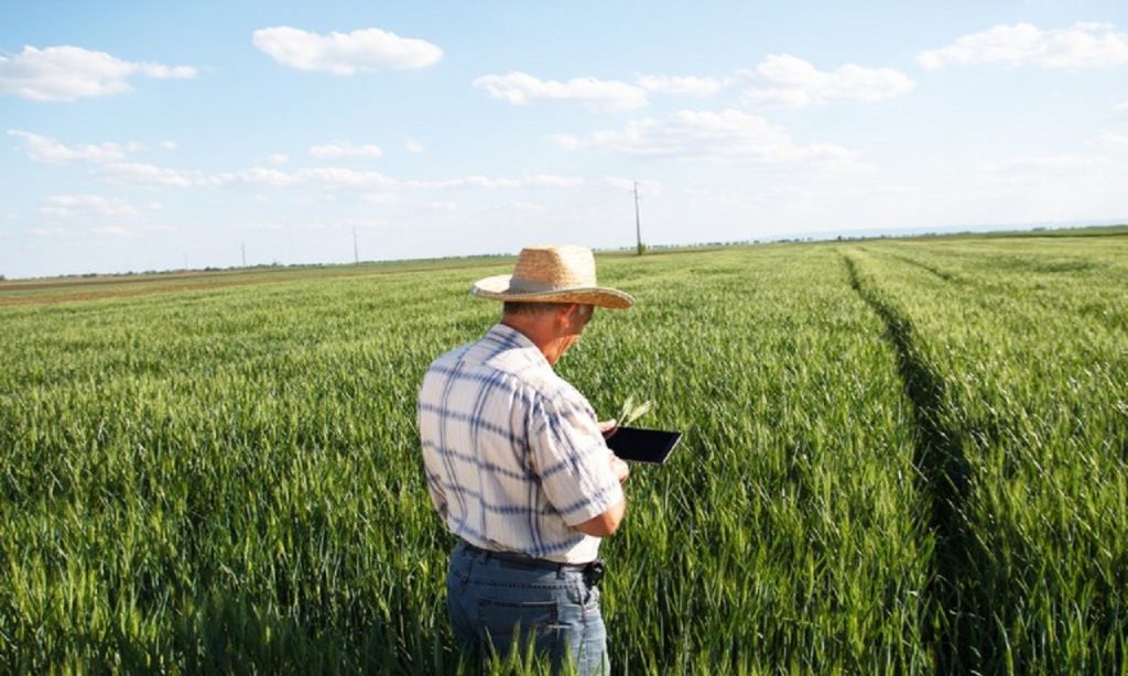 Imagem Ilustrando a Notícia: Ministério da Agricultura lança plataformas digitais para facilitar produção rural