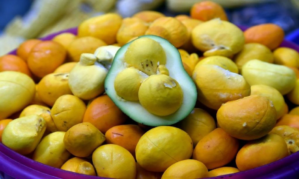 Imagem Ilustrando a Notícia: Benefícios do Pequi, fruta símbolo do cerrado