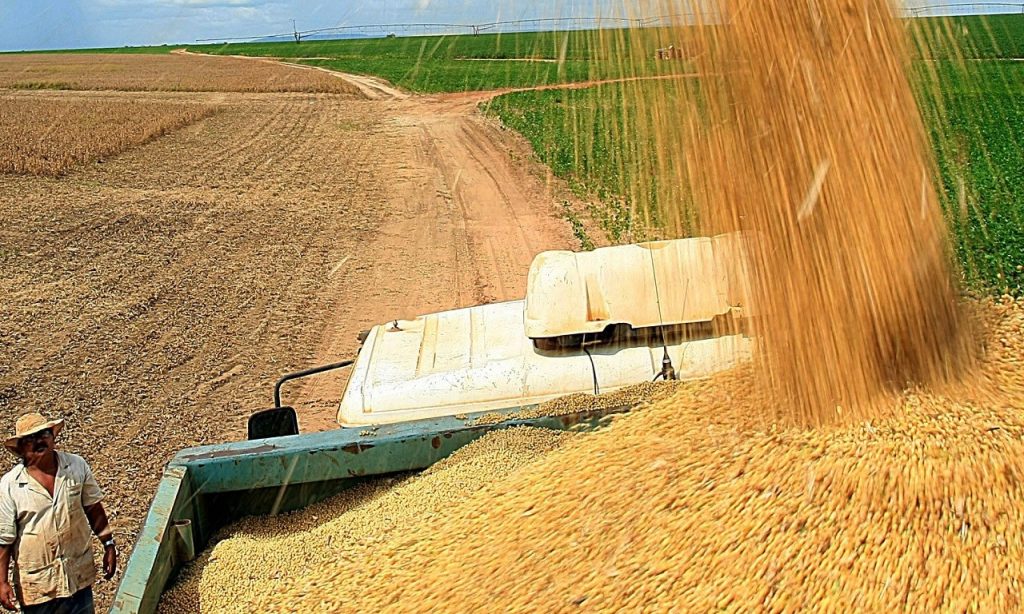Imagem Ilustrando a Notícia: Ministra da Agricultura afirma que não vai faltar arroz no país
