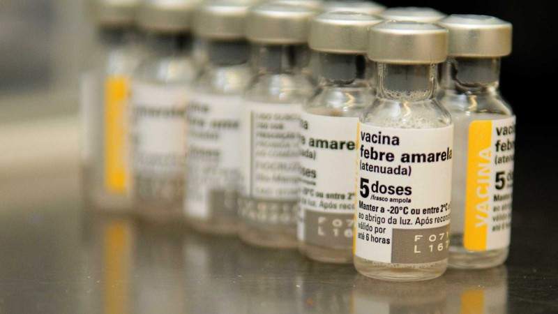 Imagem Ilustrando a Notícia: Novo lote de vacina chegará este mês