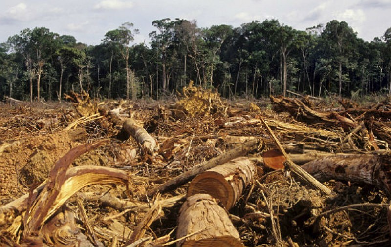 Imagem Ilustrando a Notícia: Plano de controle do desmatamento na Amazônia terá nova fase ainda este ano