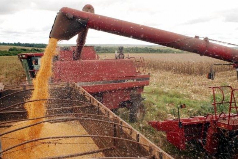 Imagem Ilustrando a Notícia: Aumento da produtividade deve elevar em 15,3% colheita de grãos na próxima safra