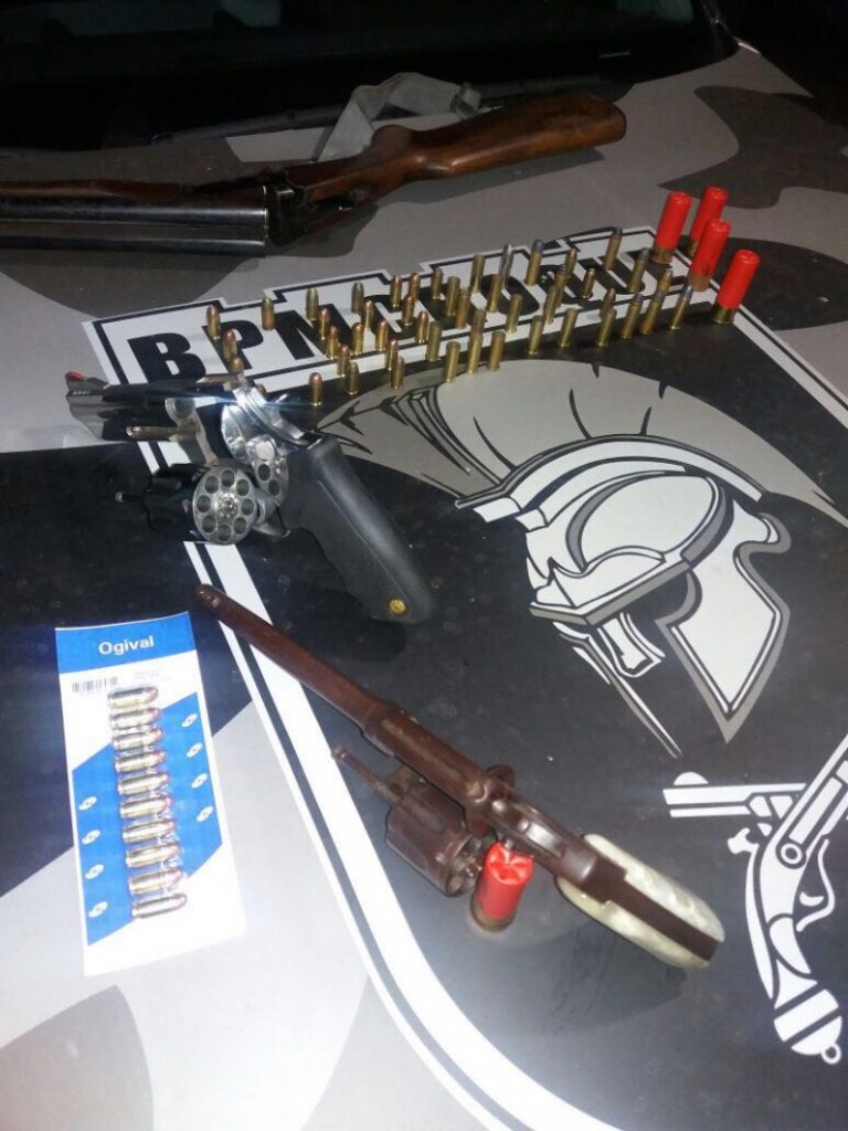 Imagem Ilustrando a Notícia: Armas de fogo e munições são apreendidas em Avelinópolis-GO