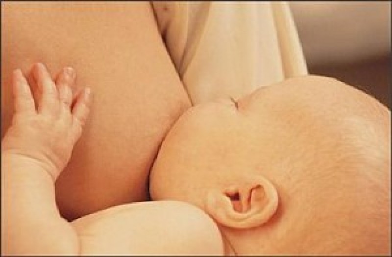 Imagem Ilustrando a Notícia: Ceasa ganha espaço de coleta de leite materno