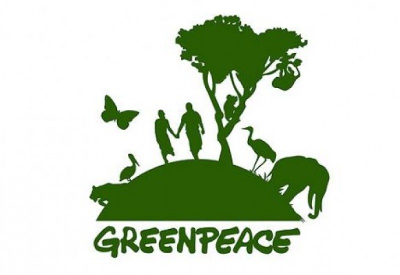 Imagem Ilustrando a Notícia: Greenpeace alerta sobre impacto ambiental nas florestas do Japão