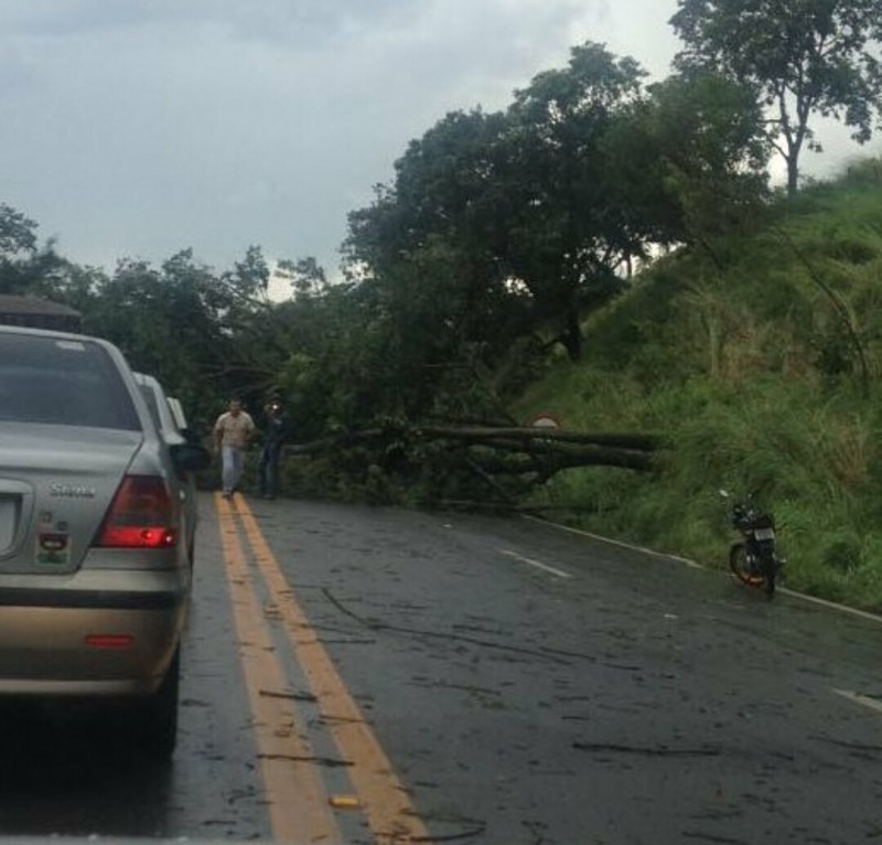 Imagem Ilustrando a Notícia: Duas pistas são interditadas por causa da forte chuva em Goiás