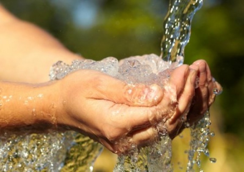 Imagem Ilustrando a Notícia: Dia Mundial da Água é celebrado com abraço simbólico em Goiânia