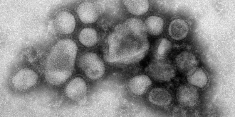 Imagem Ilustrando a Notícia: Após rumor, HDT confirma 6ª morte por vírus H1N1 em Goiás
