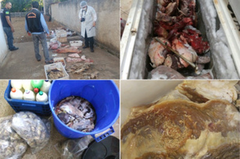 Imagem Ilustrando a Notícia: Operação do MP apreende mais de 1 tonelada de carnes impróprias para o consumo