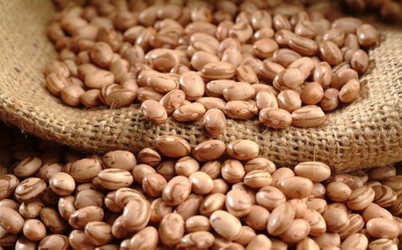 Imagem Ilustrando a Notícia: Governo autoriza importação de feijão para reduzir o preço