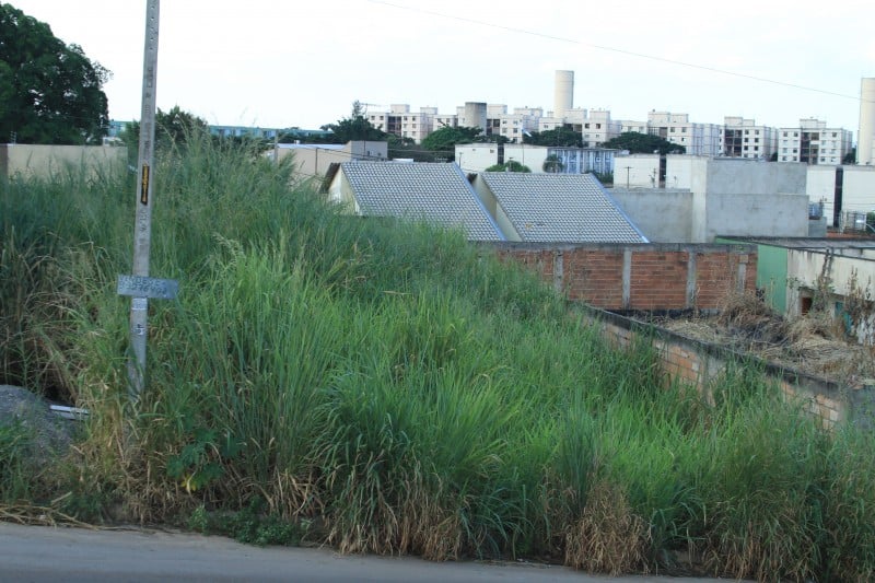 Imagem Ilustrando a Notícia: Só 4% dos lotes baldios em Goiânia forma multados