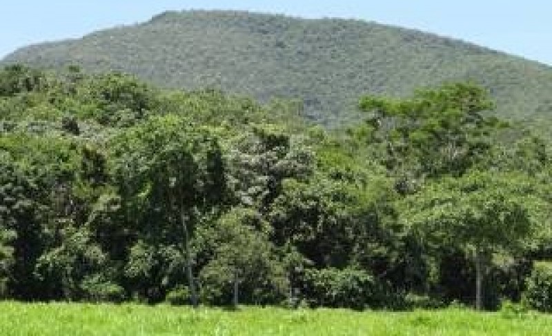 Imagem Ilustrando a Notícia: Goiás ganha duas novas reservas ambientais