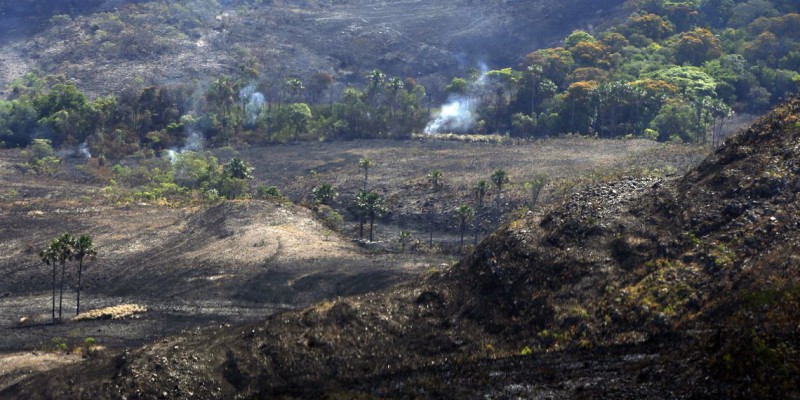 Imagem Ilustrando a Notícia: Brasil atinge meta de redução de emissões de carbono em florestas