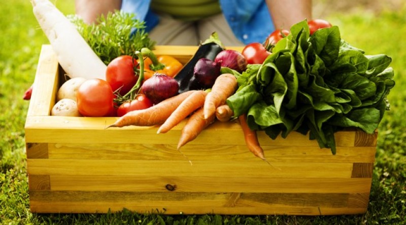 Imagem Ilustrando a Notícia: Shopping recebe feira de alimentos orgânicos