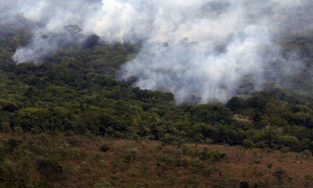 Imagem Ilustrando a Notícia: Governo federal publica decreto que proíbe queimadas por 120 dias