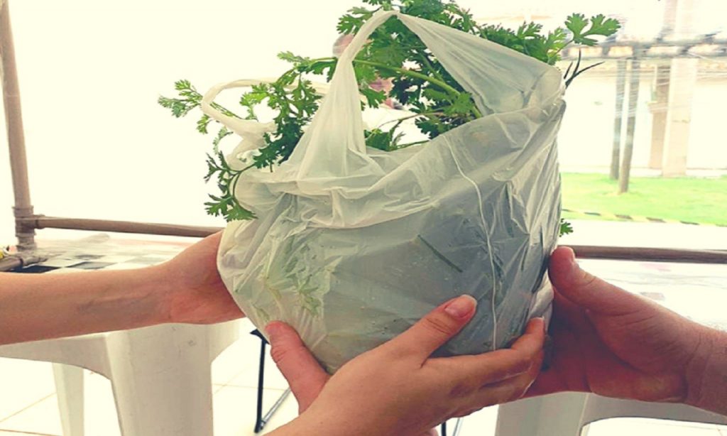 Imagem Ilustrando a Notícia: Pacientes que fazem tratamento de dependência química doam hortaliças