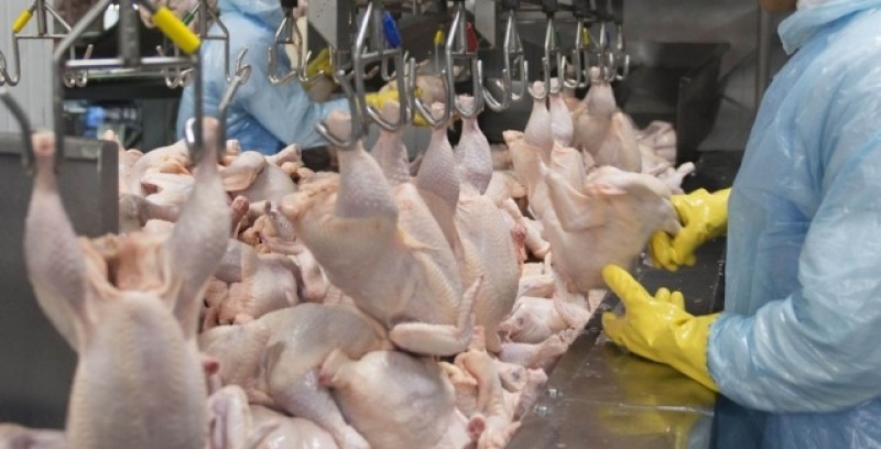 Imagem Ilustrando a Notícia: União Europeia aumenta cotas de importação de açúcar e frango do Brasil