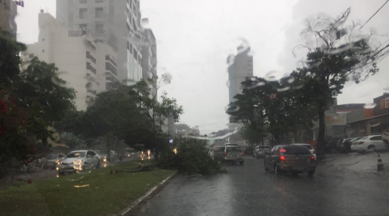 Imagem Ilustrando a Notícia: Pancadas de chuva com vento chegam a Goiânia