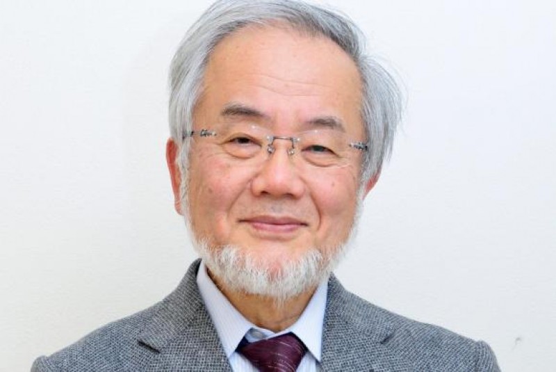 Imagem Ilustrando a Notícia: Japonês que pesquisou autofagia leva Nobel de Medicina