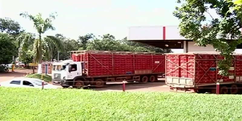 Imagem Ilustrando a Notícia: União Europeia proíbe frigoríficos do Brasil de exportar frangos