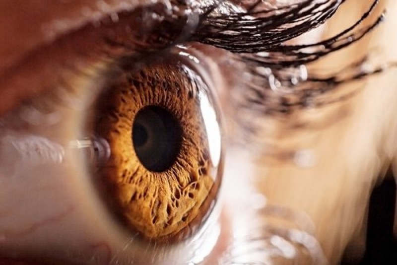 Imagem Ilustrando a Notícia: Olhos amarelados? Saiba o que pode ser