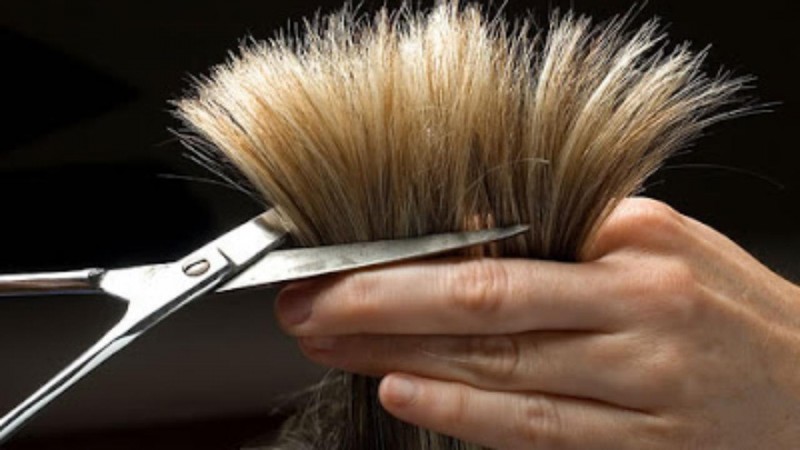 Imagem Ilustrando a Notícia: Campanha promove corte de cabelo gratuito para doação