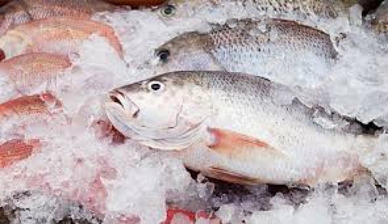 Imagem Ilustrando a Notícia: Supermercado orienta como consumidor deve escolher o pescado