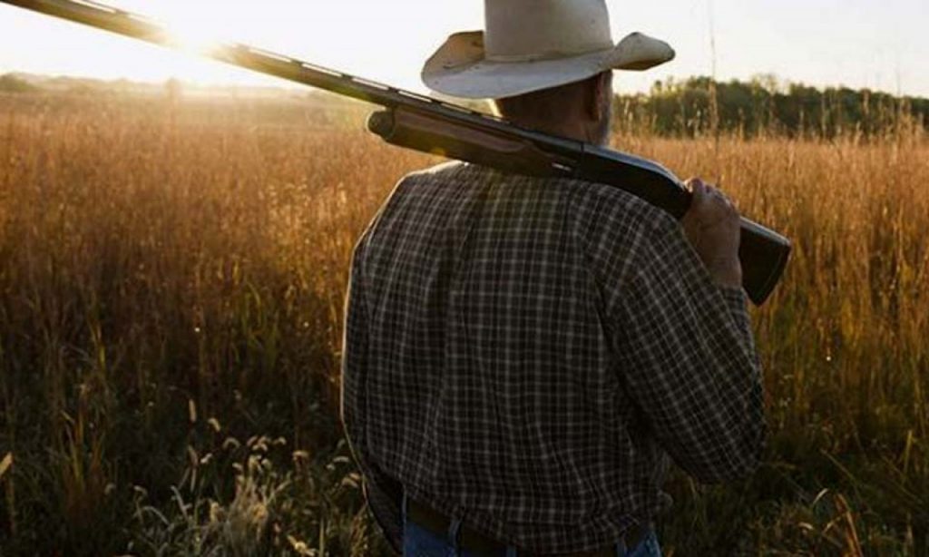 Imagem Ilustrando a Notícia: CCJ do Senado aprova extensão da posse de armas na zona rural