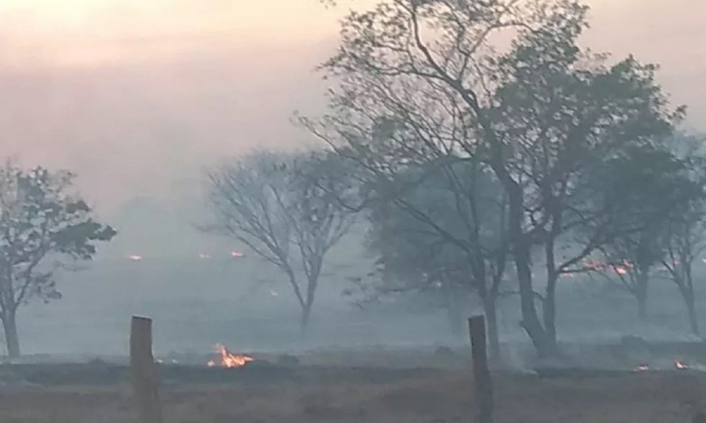 Imagem Ilustrando a Notícia: Incêndio na Chapada dos Veadeiros já atingiu cerca de 50 mil hectares