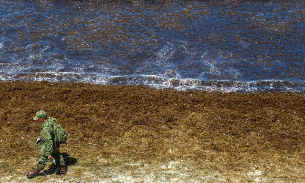 Imagem Ilustrando a Notícia: Óleo continua se espalhando e atinge novas praias do Nordeste