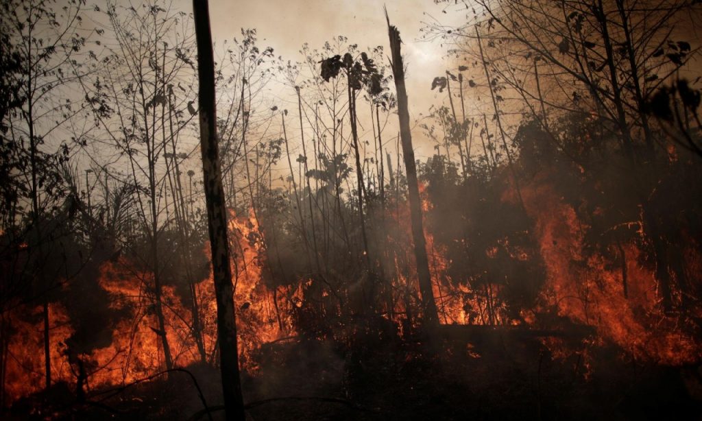 Imagem Ilustrando a Notícia: Homem preso em Goiânia é suspeito de comandar incêndios na Amazônia