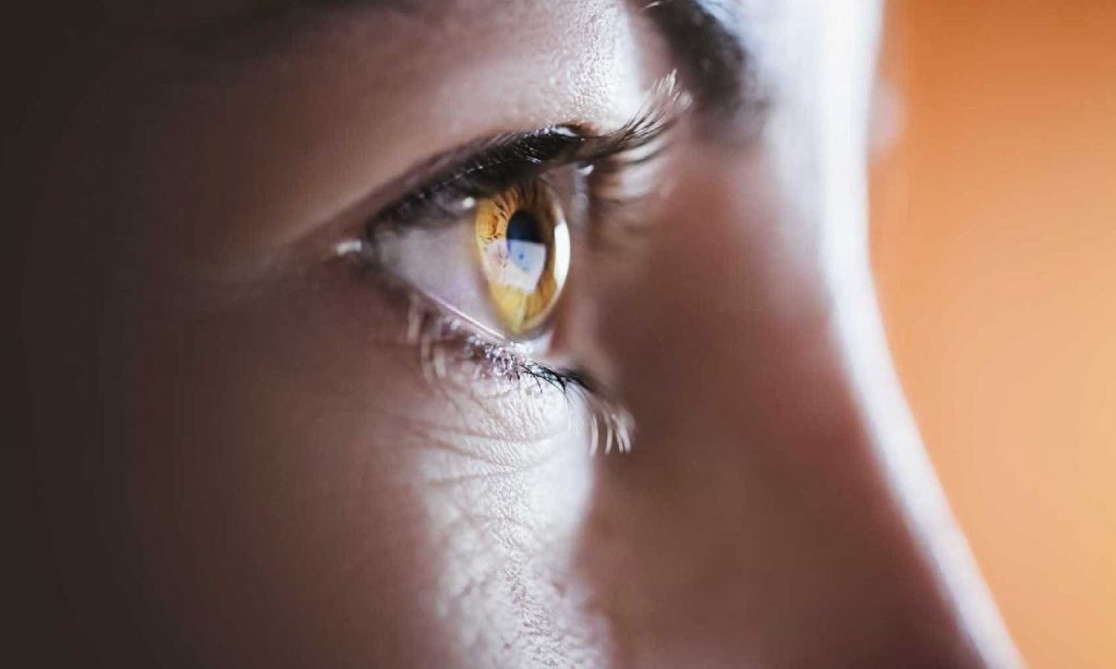Imagem Ilustrando a Notícia: Especialista fala sobre os cuidados com os olhos no tempo seco