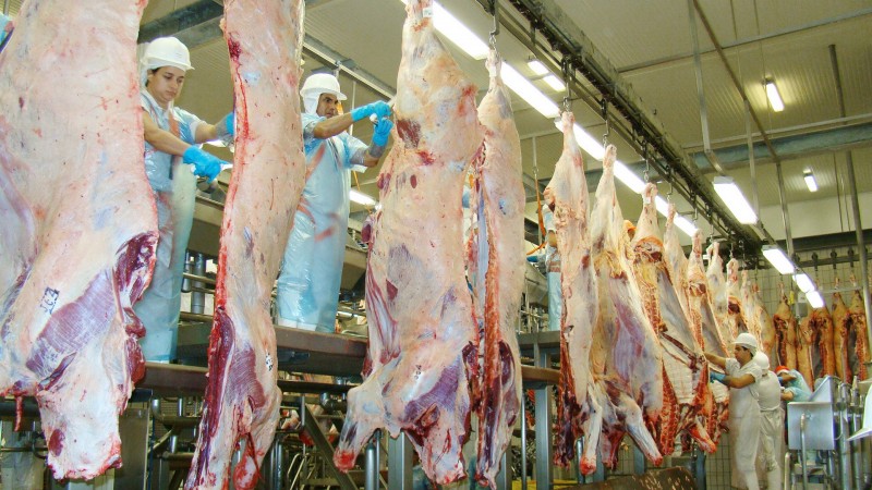 Imagem Ilustrando a Notícia: Países já suspendem importação de carne