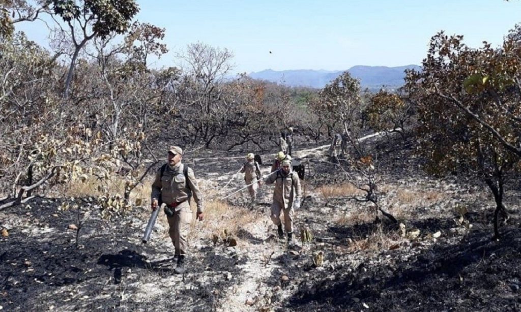 Imagem Ilustrando a Notícia: Fogo consome três mil hectares da Serra Dourada na Cidade de Goiás