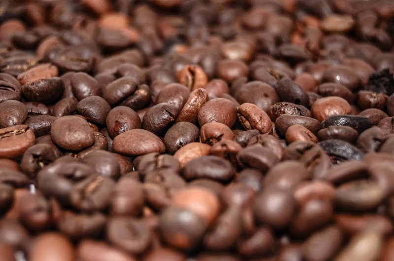Imagem Ilustrando a Notícia: Produtividade é maior responsável pelo aumento da rentabilidade de café no País