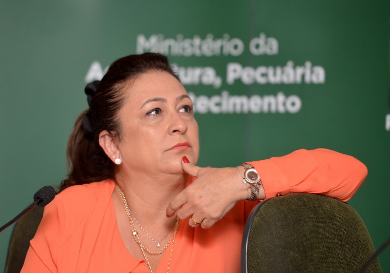 Imagem Ilustrando a Notícia: Comissão aprova indicação de Kátia Abreu e Cardozo