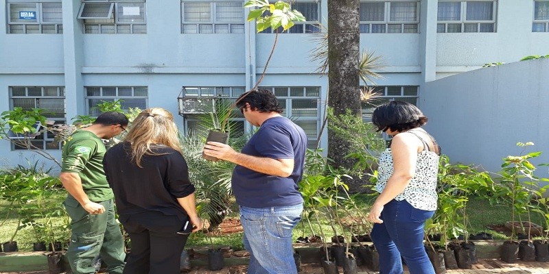 Imagem Ilustrando a Notícia: Secima incentiva o plantio de mudas do Cerrado