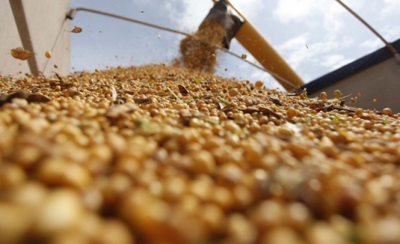 Imagem Ilustrando a Notícia: Projeção da safra de grãos é elevada para 226 milhões de toneladas