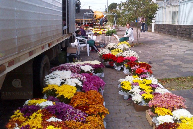 Imagem Ilustrando a Notícia: Relatório do Procon mostra aumento de 11,76% em preços de flores e coroas