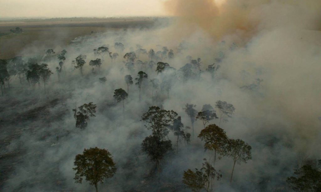Imagem Ilustrando a Notícia: 21 capitais do País convocam atos em defesa da Amazônia