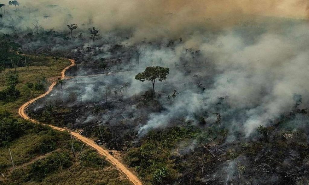 Imagem Ilustrando a Notícia: Polícia do Pará identifica suspeitos de provocar queimadas na Amazônia