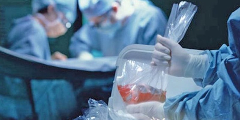 Imagem Ilustrando a Notícia: Brasil possui maior índice de aprovação em transplantes de órgãos