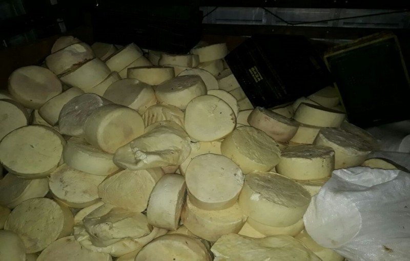 Imagem Ilustrando a Notícia: Polícia apreende 2 toneladas de queijo estragado em Anápolis